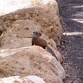 Arizona 12-08-2006