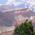 Arizona 12-08-2006