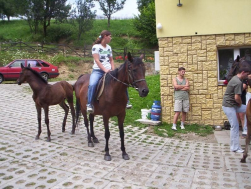 BIESZCZADY