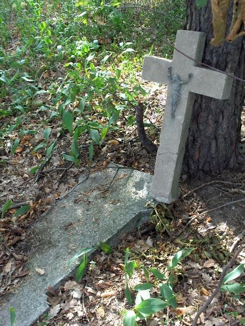 Krzyz - jedyny na tym cmentarzu. Wyglada na "nietutejszy". Pod nim tablica - niestety odwrocona napisem do ziemi.