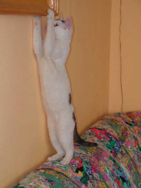 Smieszne? Może tak, może nie ...