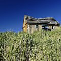 Greenland, Qoornoq - Nuuk, Old Hut