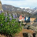 Greenland, Qaqortoq.
Spring just comming