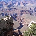 grand canyon