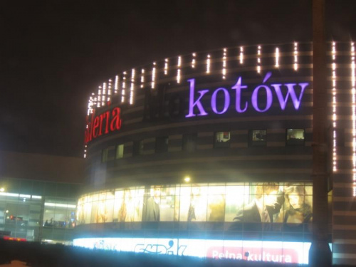 17.02. Międzynarodowe Swięto Kota, Warszawa 2006 - Galeria Mokotów