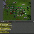 #Tibia