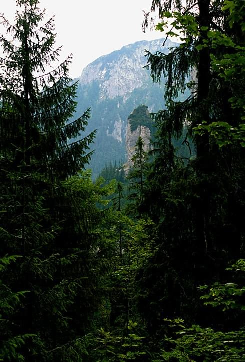 Jaskinia Mrożna. Tatry. Dolina Kościeliska Widok po wyjściu z Jaskini. #tatry #góry #jaskinie #mroźna