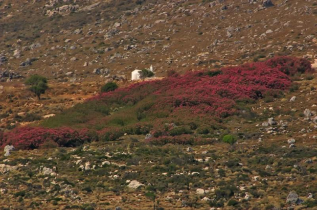 Kreta - Balos