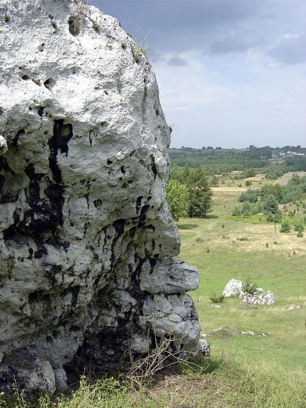 Wakacje na JURZE'2006