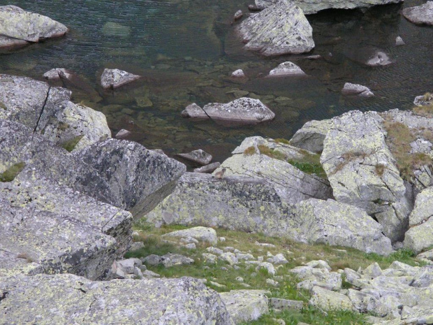 wistak na "straży" (długie Jezioro w Starolenej Dolinie)