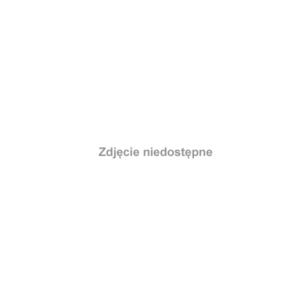 W nawie głównej uderza swym wygladem konfesja sw. Stanisława, męczennika, którego szczatki spoczywaja w srebrnej barokowej trumnie. #Kraków #Miasto #Wawel #Sukiennice