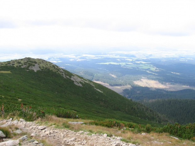 Krywańska Kopa #GóryTatry