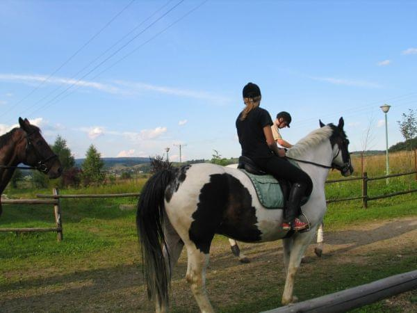 Ośrodek Jeździecki "EDEN" w Myczkowcach #konie