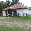 Ośrodek Jeździecki "EDEN" w Myczkowcach #konie