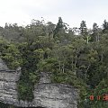 Blue Mountains