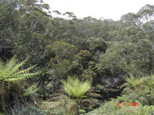 Blue Mountains