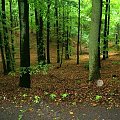 Góra Chełmska - wycieczka z kolonii