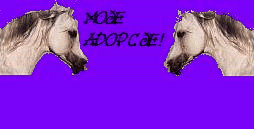 bannner i gifek