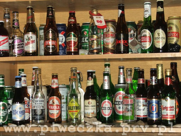 Galeryjka #butelki #piwo #Chorzów #zyzio