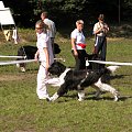 LIDZBARK 2006