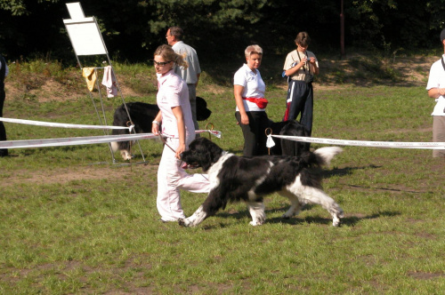 LIDZBARK 2006