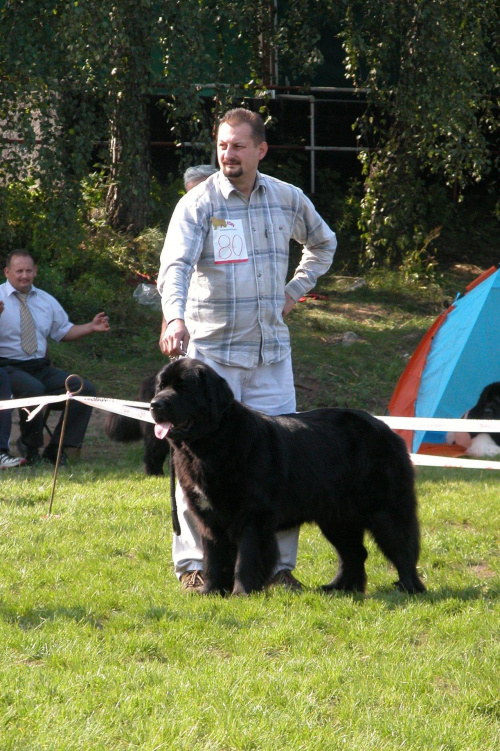 LIDZBARK 2006