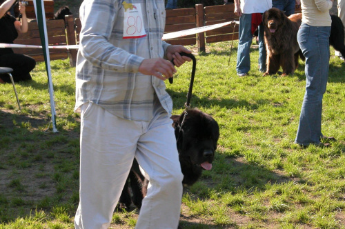 LIDZBARK 2006