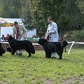 LIDZBARK 2006