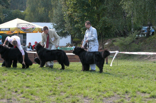 LIDZBARK 2006