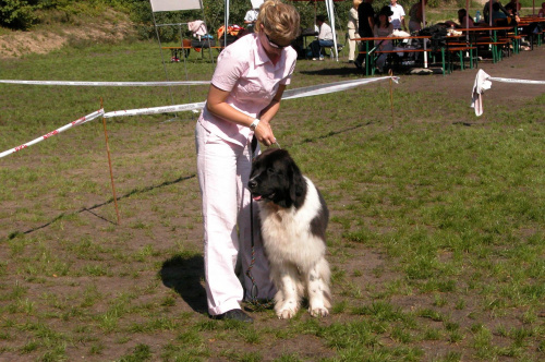 LIDZBARK 2006