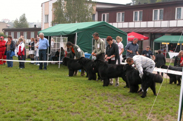 LIDZBARK 2006