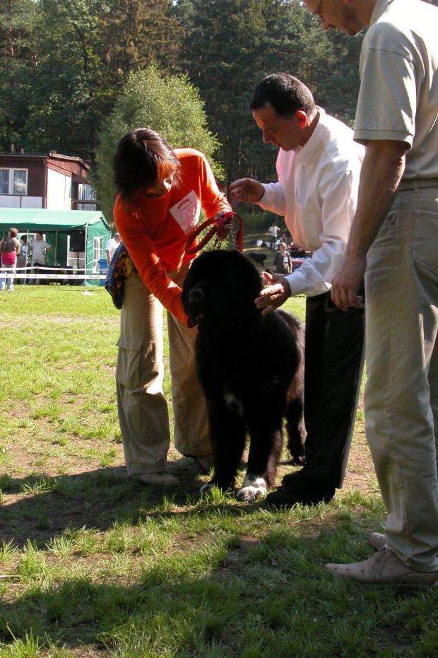 LIDZBARK 2006