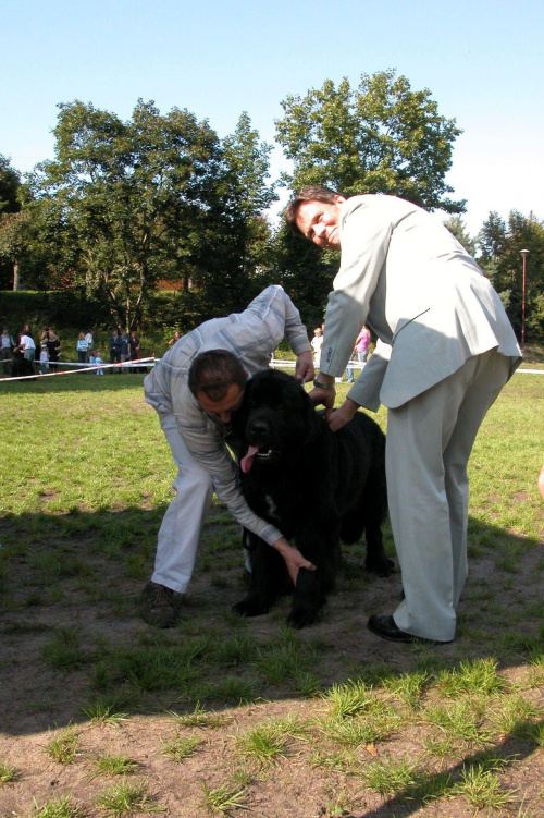 LIDZBARK 2006