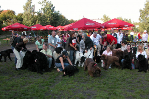 LIDZBARK 2006