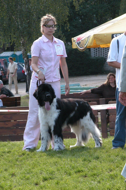 LIDZBARK 2006