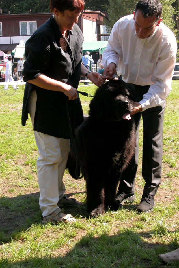 LIDZBARK 2006