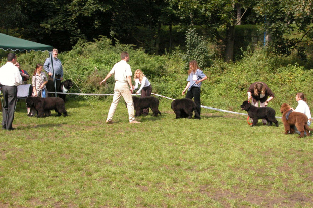 LIDZBARK 2006