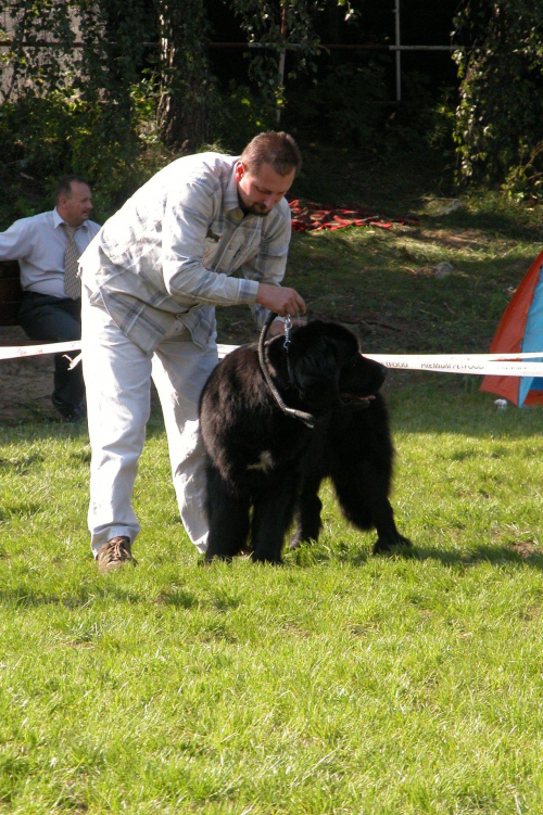 LIDZBARK 2006