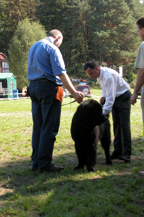 LIDZBARK 2006