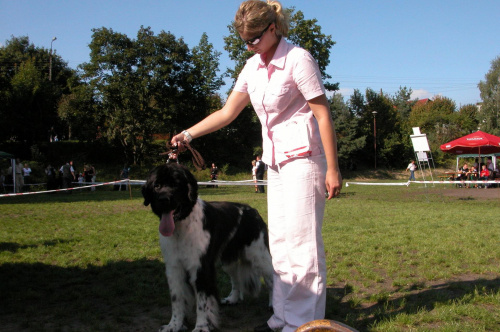 LIDZBARK 2006