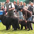 LIDZBARK 2006