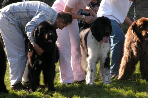 LIDZBARK 2006