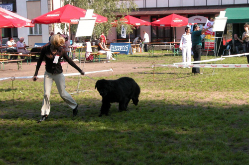 LIDZBARK 2006