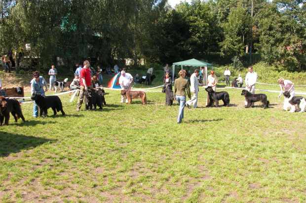 LIDZBARK 2006