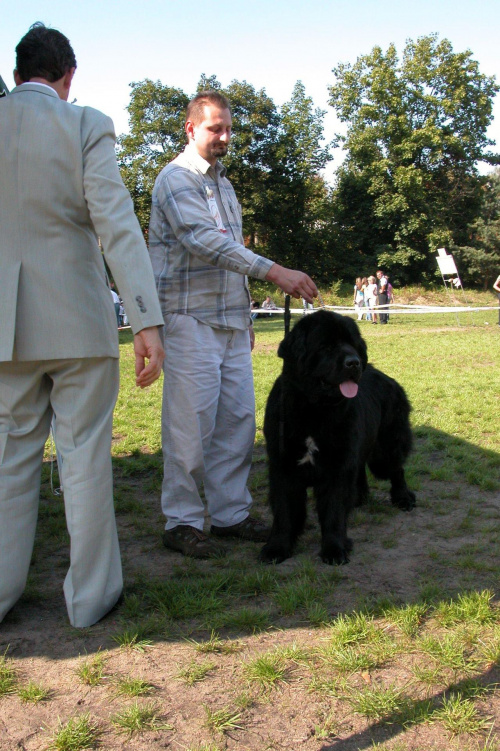 LIDZBARK 2006