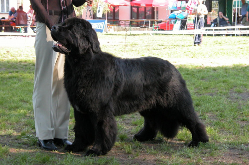 LIDZBARK 2006