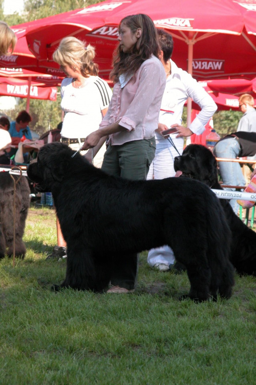 LIDZBARK 2006