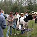 LIDZBARK 2006