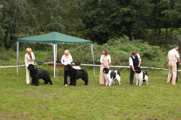 LIDZBARK 2006