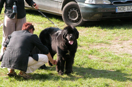 LIDZBARK 2006